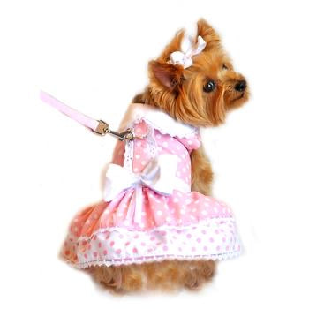 Polka Dot and Lace Dog Dress Set with Leash - Pink