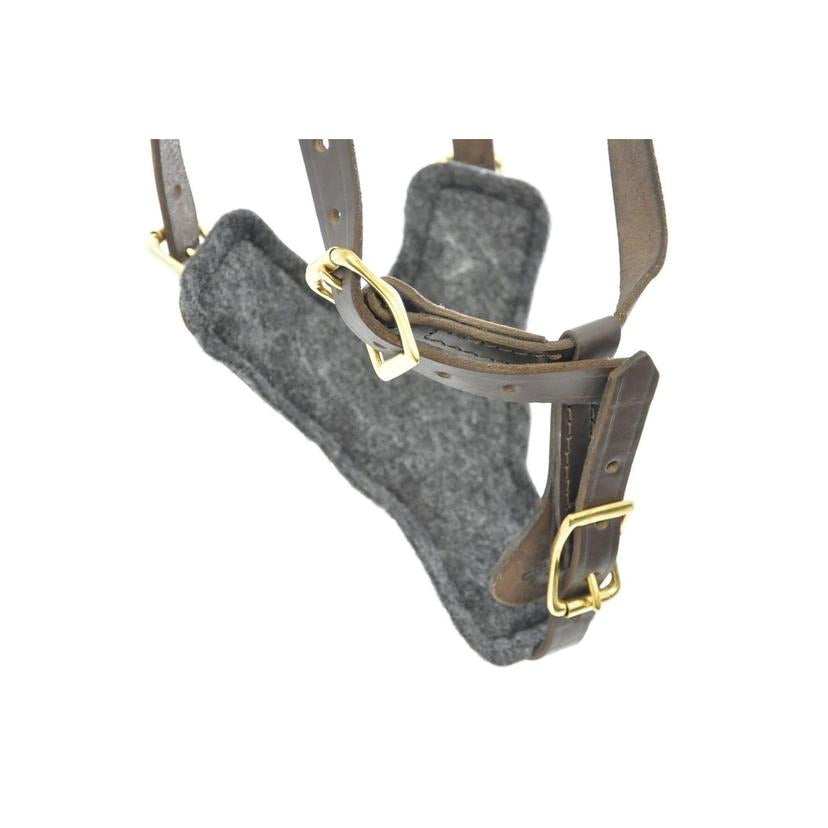 Typhoon Leather Working Dog Harness, Brass Hardware