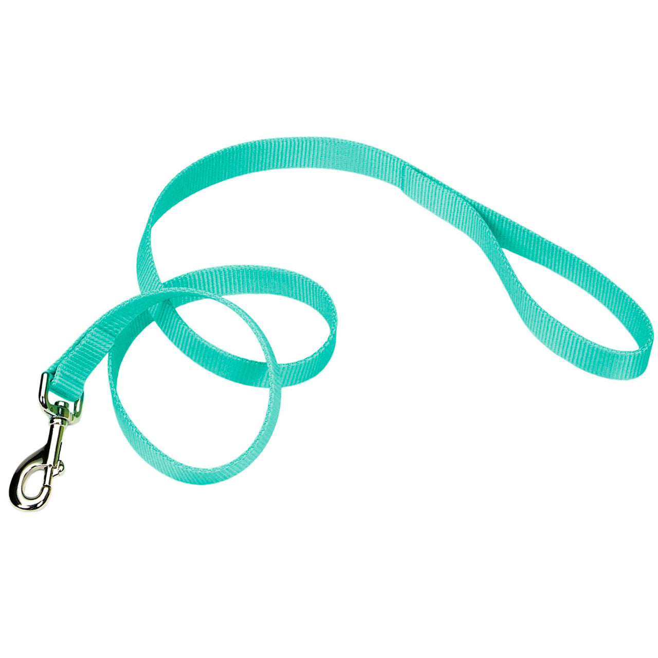 Coastal Nylon Leash