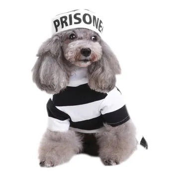 Prisoner Costume