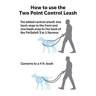 PetSafe Two Point Control Leash