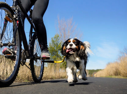 Bike Tow Leash AND PACKAGES FOR TRIKES