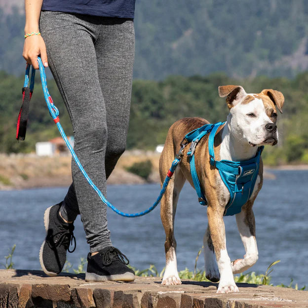 Kurgo Tru-Fit Smart Harness