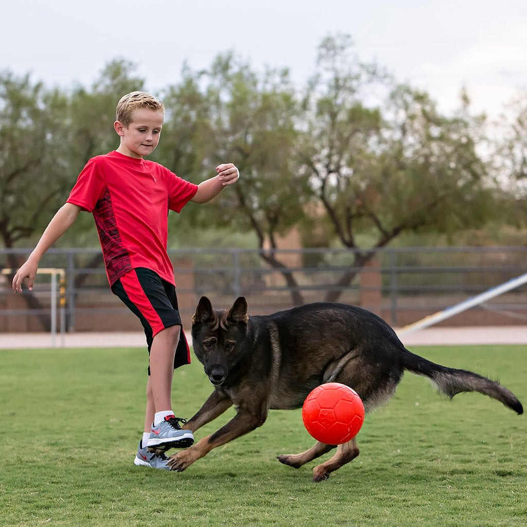 Jolly Soccer Ball - Puncture Resistant Ball