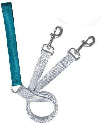 2 Hounds Design Leash