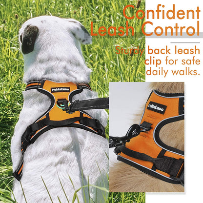 Rabbitgoo Dog Harness - No Pull Medium