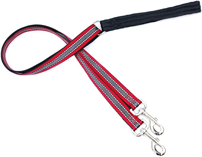 2 Hounds Design Leash