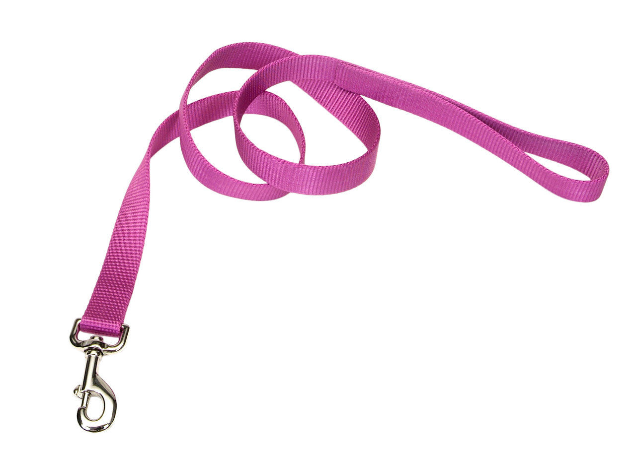 Coastal Nylon Leash