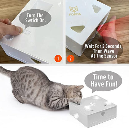 Erraticat Interactive Cat Toy