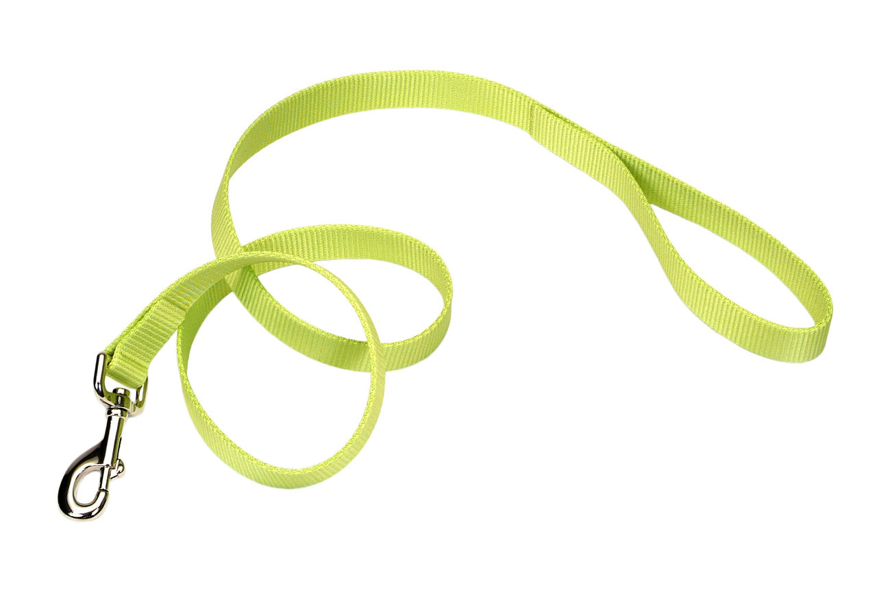 Coastal Nylon Leash