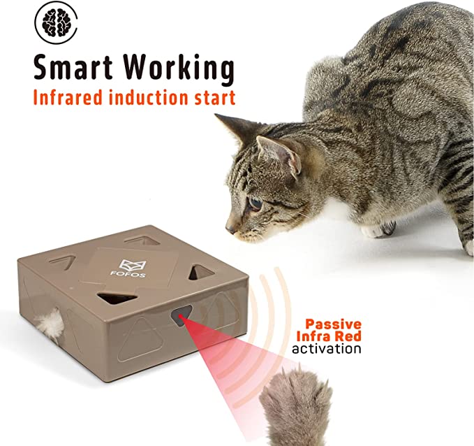 Erraticat Interactive Cat Toy