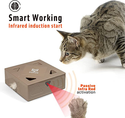 Erraticat Interactive Cat Toy