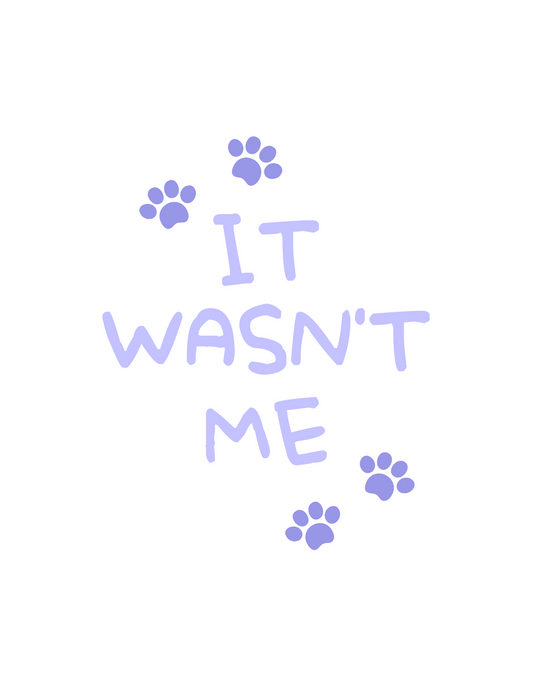 It Wasn’t Me Set