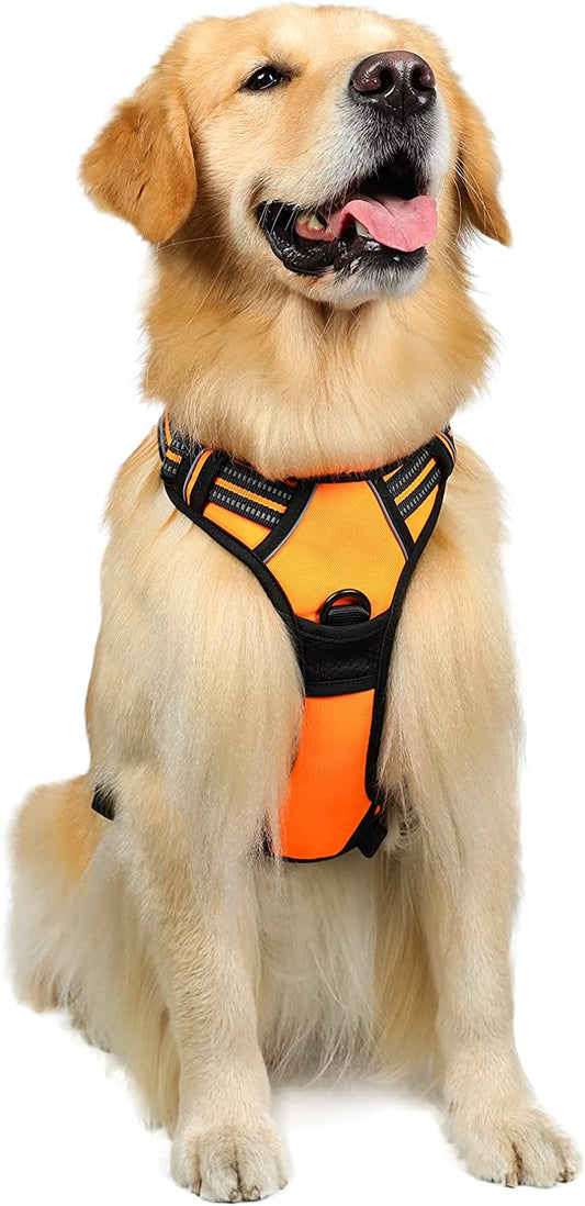 Rabbitgoo Dog Harness - No Pull Medium