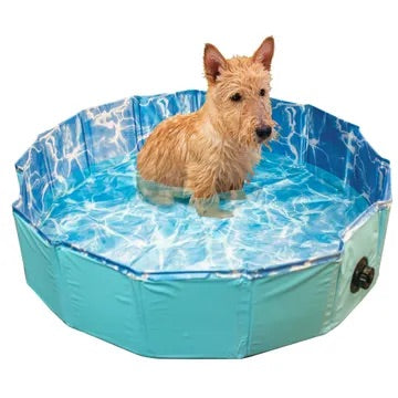 Pet Swimming Pool