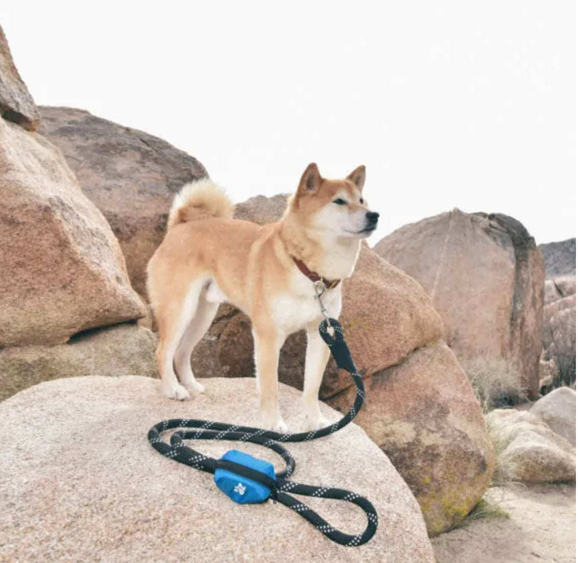 Adventure Leash Bag Bag Dispenser