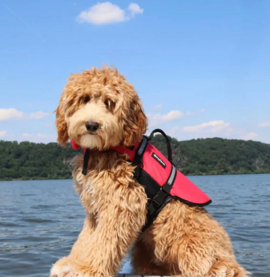 Zippy Paws Adventure Life Jacket - Red