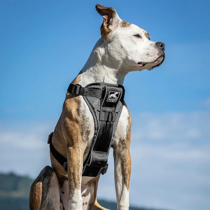 Kurgo Tru-Fit Smart Harness