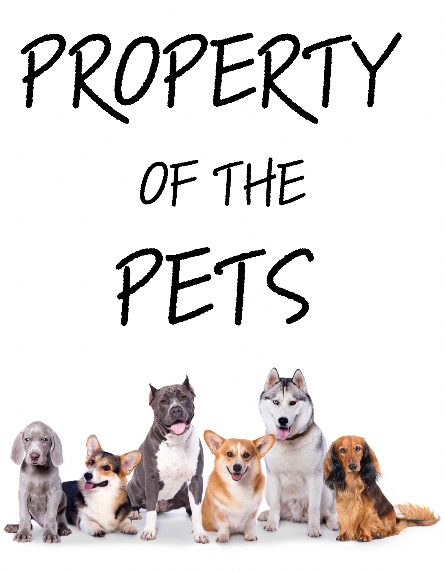 Property Of The Pets, Spoiled To The Bone Set