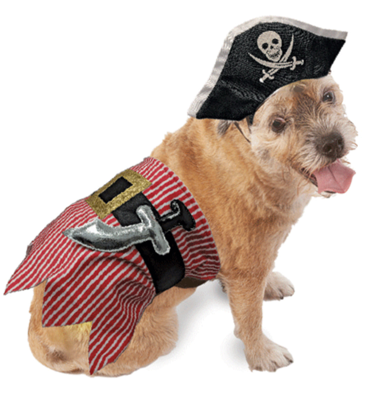 Pirate Costume