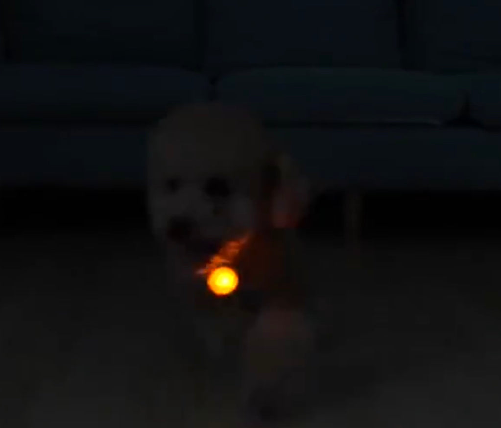 Paw-T Petz LED Collar Light Pendant