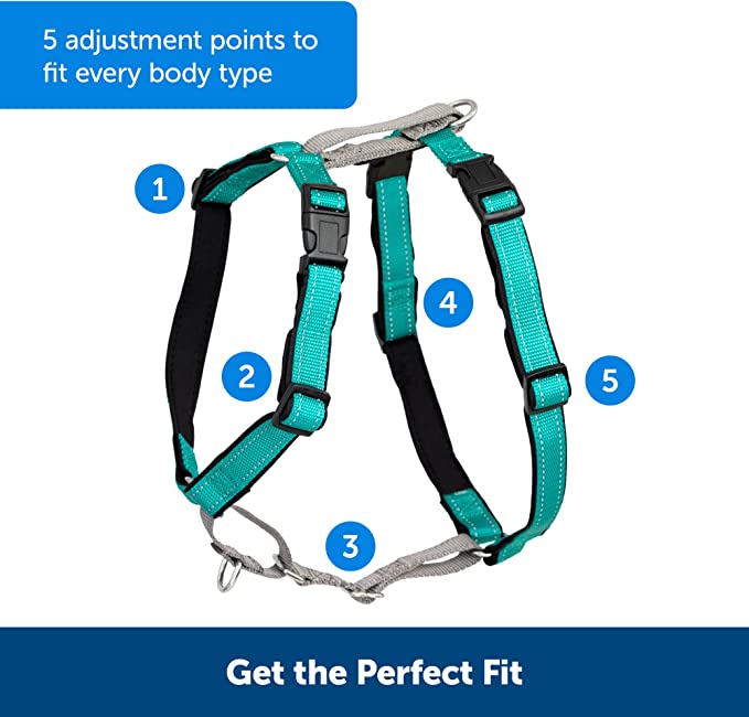 PetSafe 3 in 1 Dog Harness Pups Path