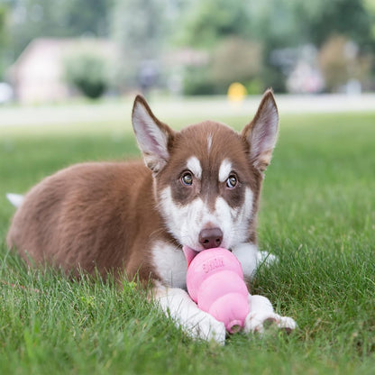 KONG Puppy Kong (Color May Vary)