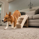 CozyUp™ Folding Pet Steps