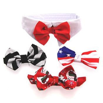 White Collar Bow Tie Set with 4 Interchangeable Bows