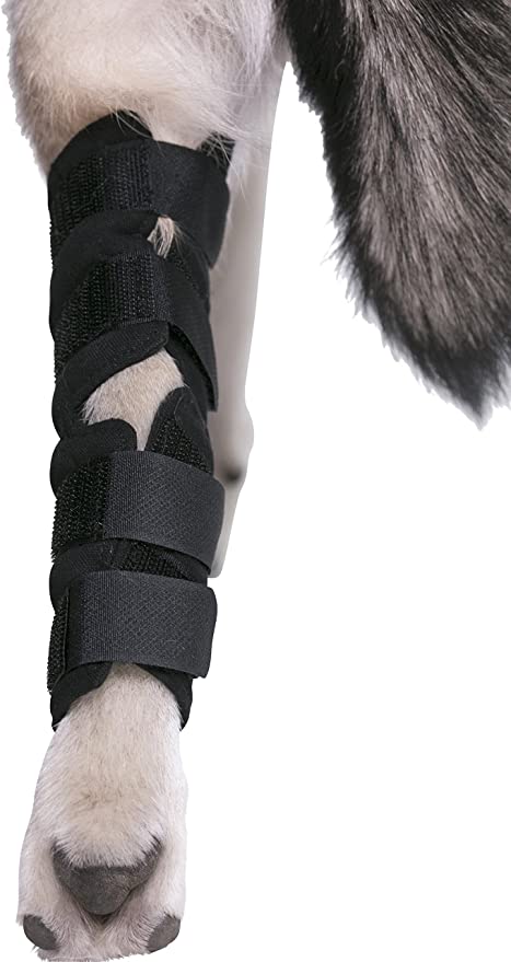 AGON® Canine Dog Hock Brace Rear Leg