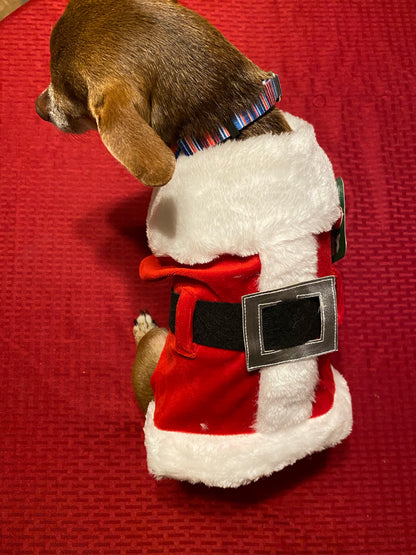 Santa Suit