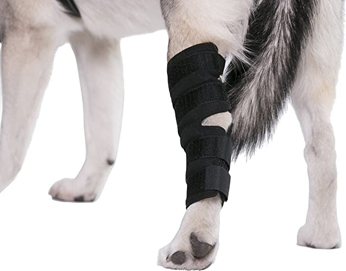 AGON® Canine Dog Hock Brace Rear Leg