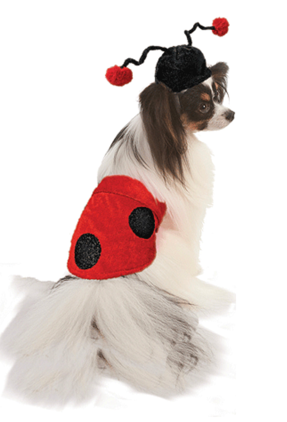 Ladybug Costume