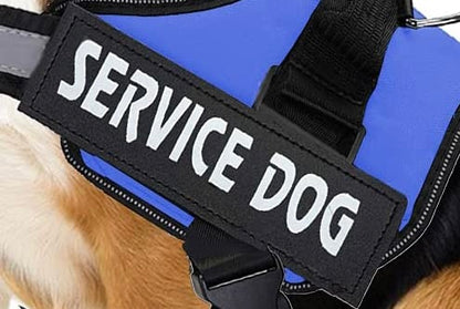 Paw-T Petz Service Dog Patch