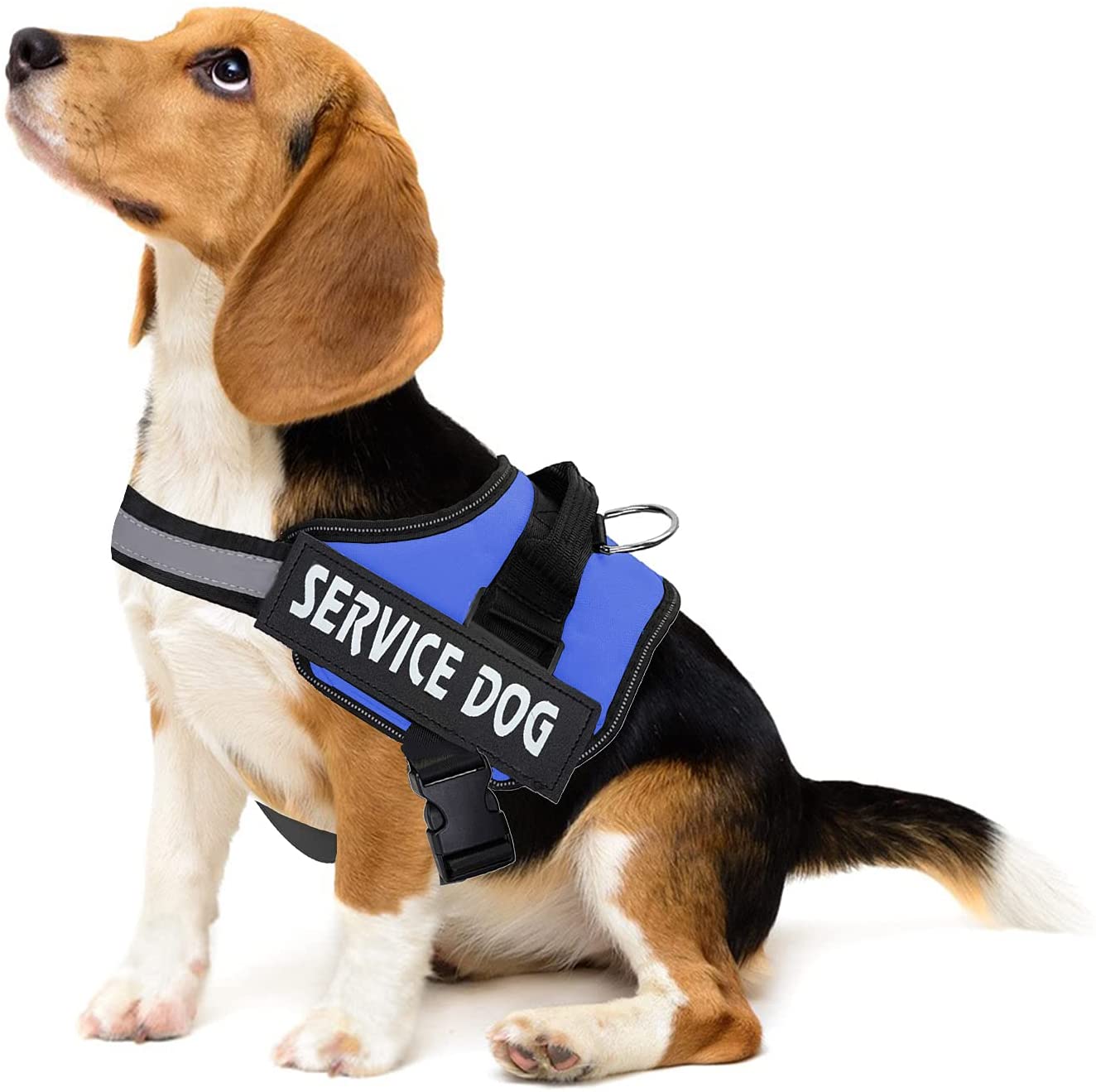 Paw-T Petz Dog Harness - Service Dog Harness