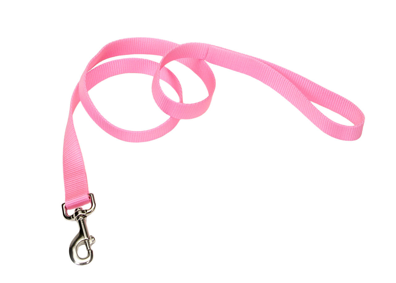 Coastal Nylon Leash