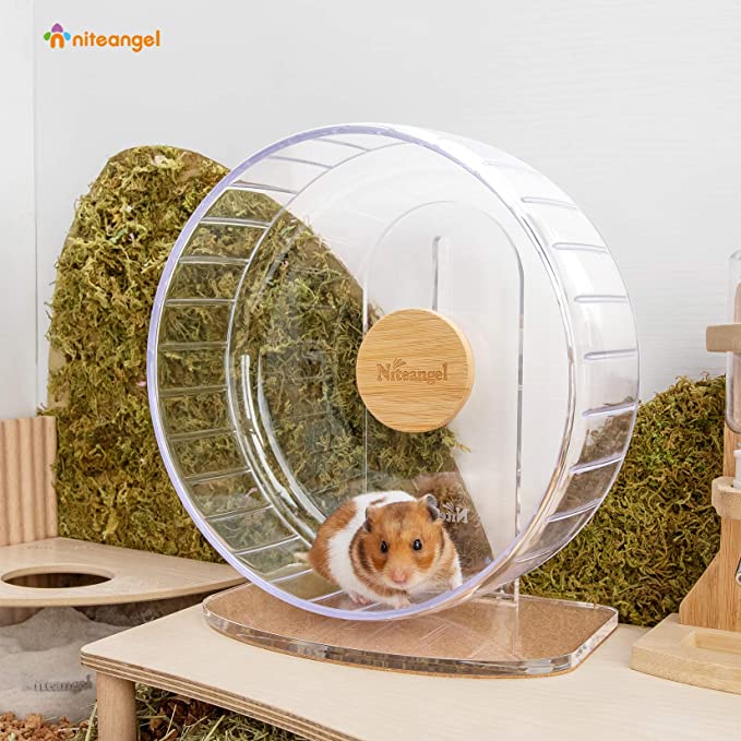 Fashion hamster wheel stand