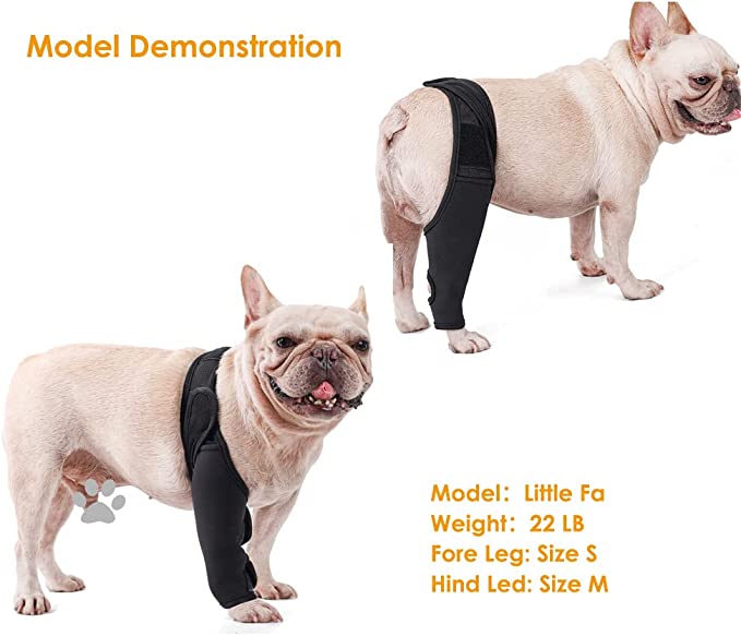 Petmingham Dog Knee Brace for Dog ACL,CCL, Knee Cap Dislocation, Arthritis - Joint&Knee Rehab