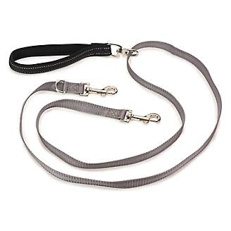 PetSafe Two Point Control Leash