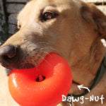 Ruff Dawg Dawg-Nut