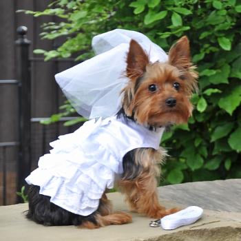 Dog Wedding Harness Dress Set