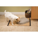 Automatic 5 Meal Pet Feeder