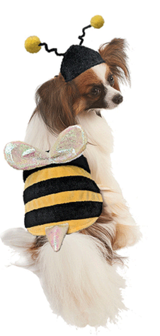 Bumble Bee Costume