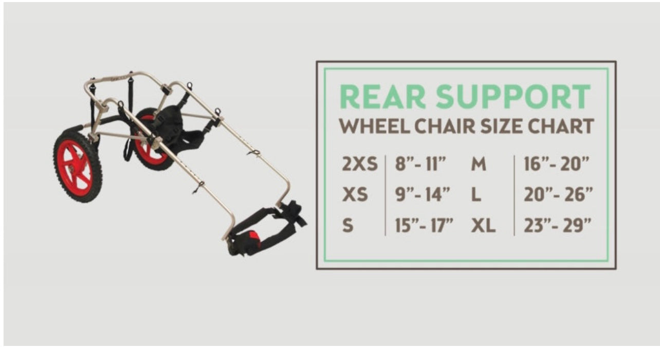 Rear Support Dog Wheelchair By Best Friend Mobility