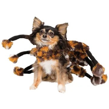 Tarantula Costume