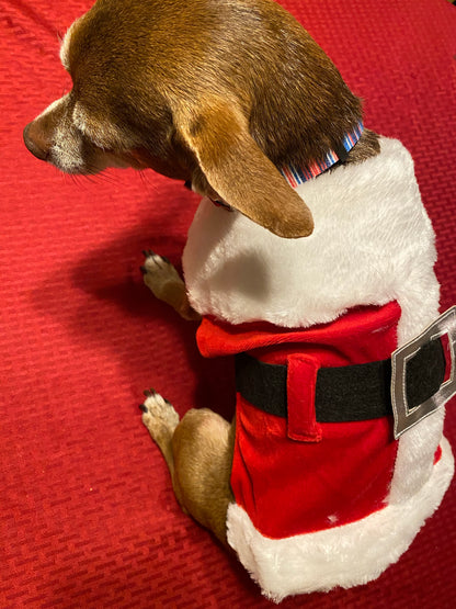 Santa Suit